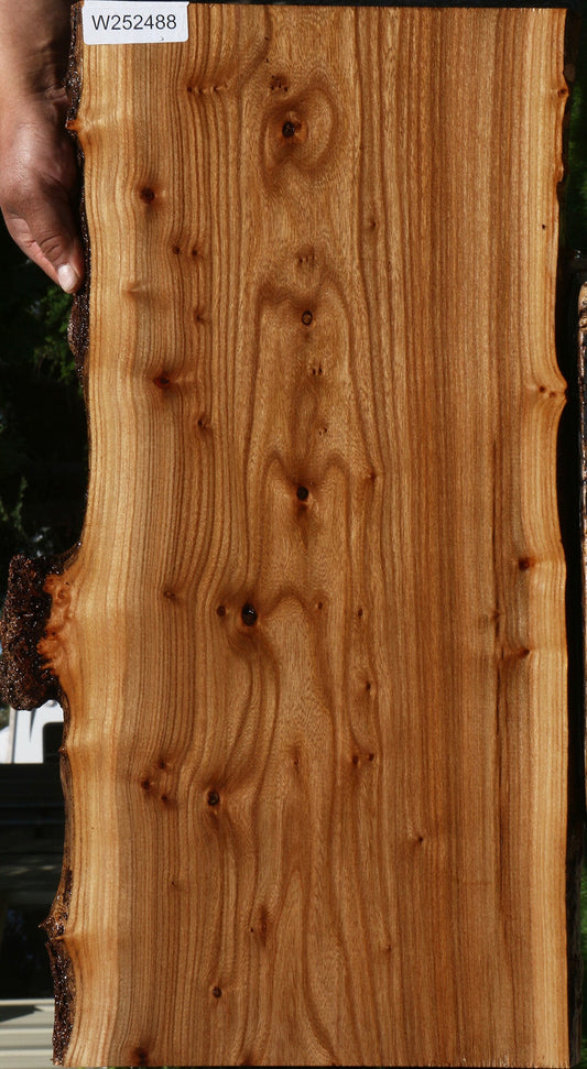 Siberian Elm Live Edge Lumber