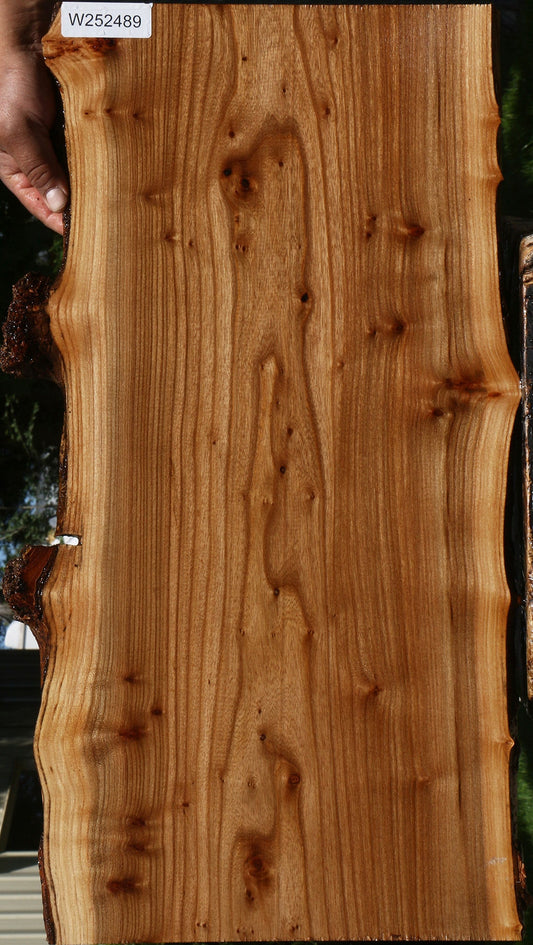 Siberian Elm Live Edge Lumber