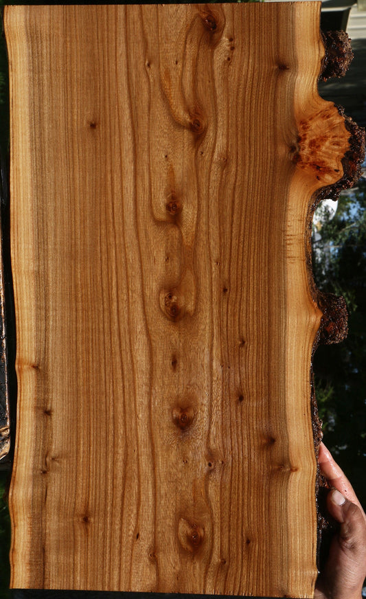 Siberian Elm Live Edge Lumber