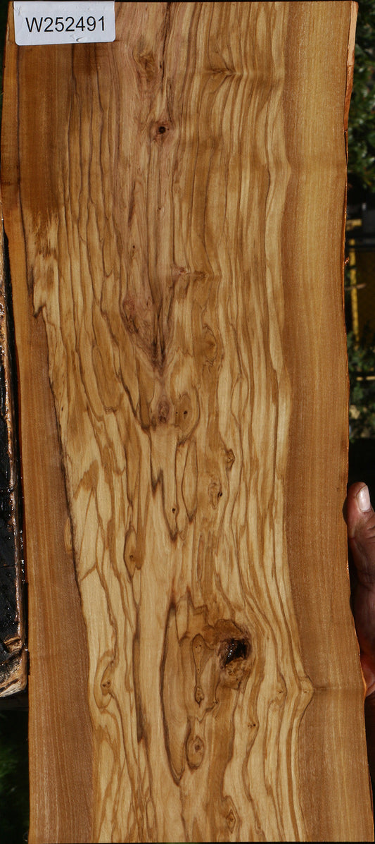 Extra Fancy Olive Live Edge Lumber