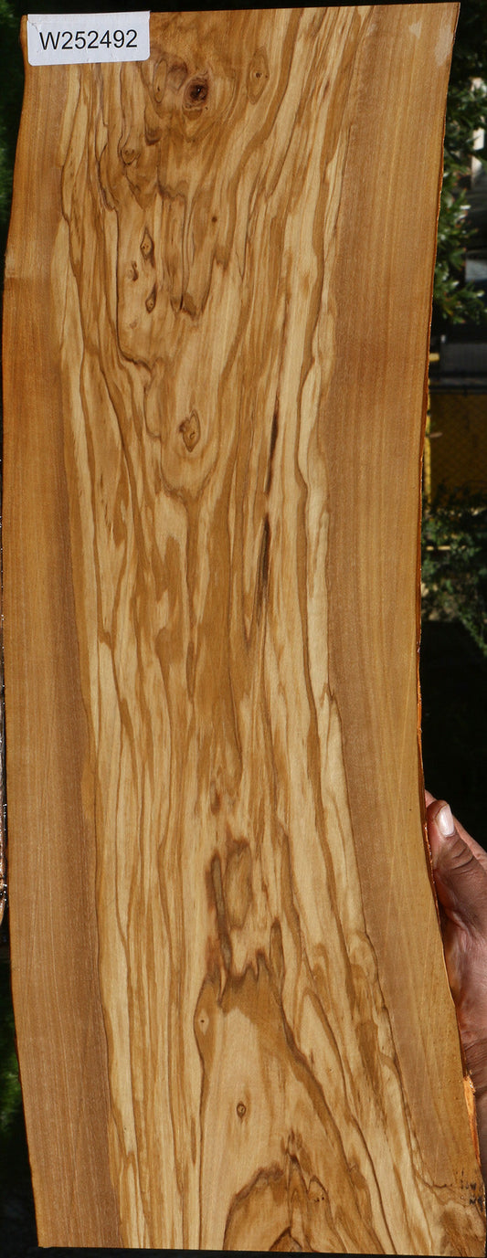 Olive Live Edge Lumber