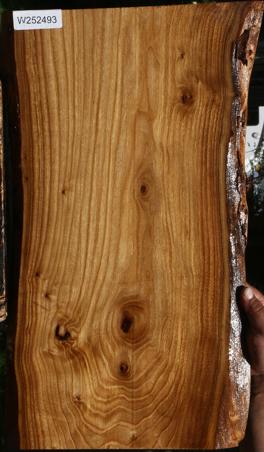 Siberian Elm Live Edge Lumber