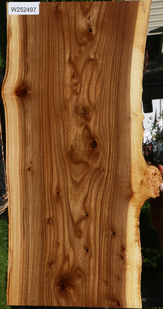 Siberian Elm Live Edge Lumber