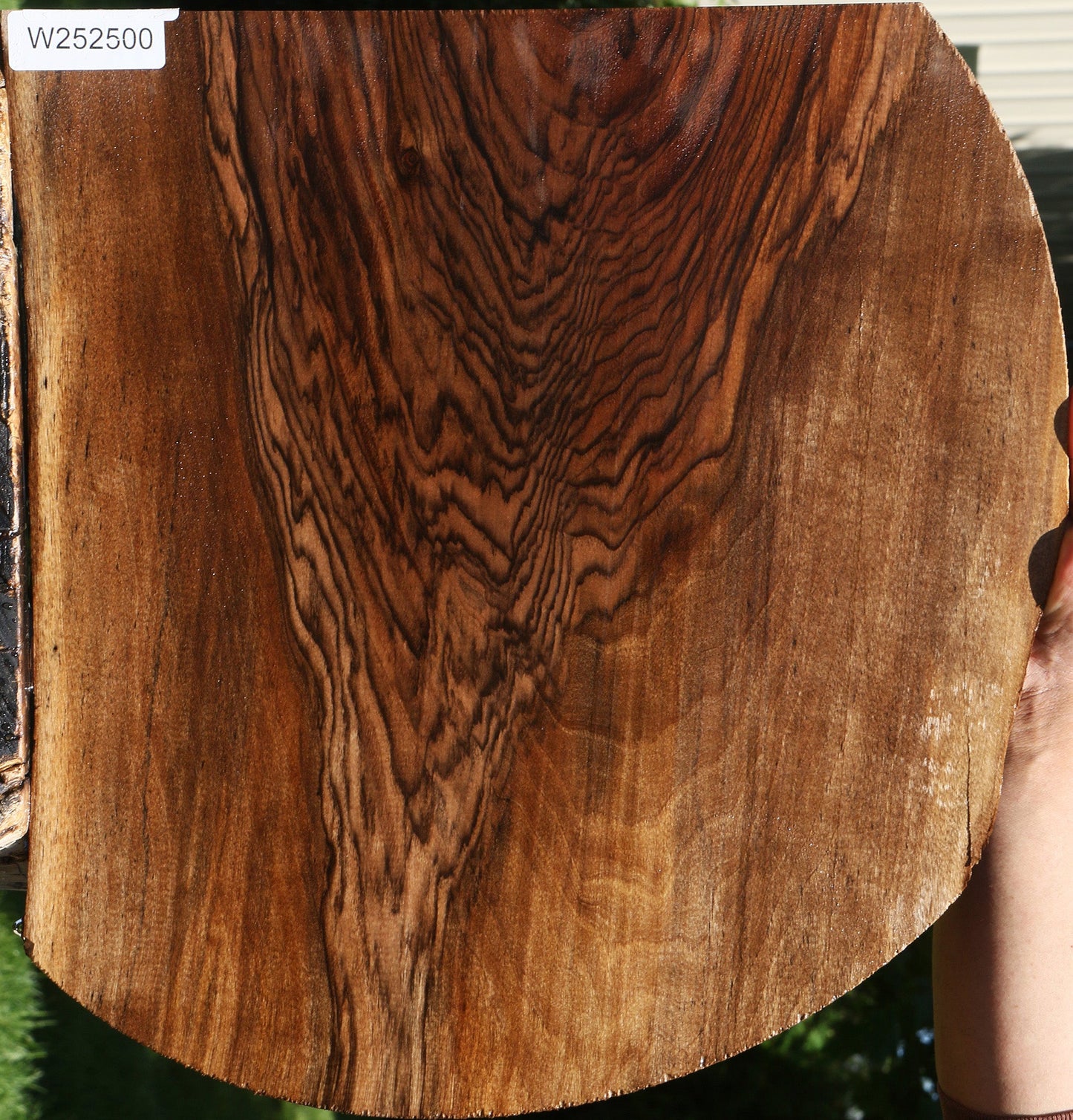 Extra Fancy English Walnut Live Edge Lumber