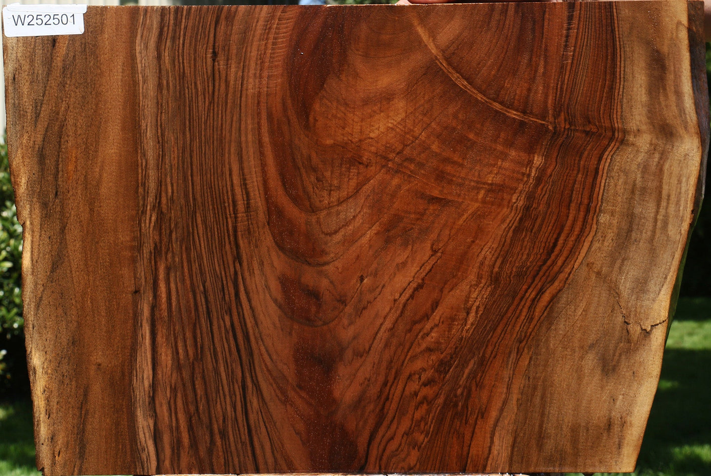 Extra Fancy English Walnut Live Edge Lumber