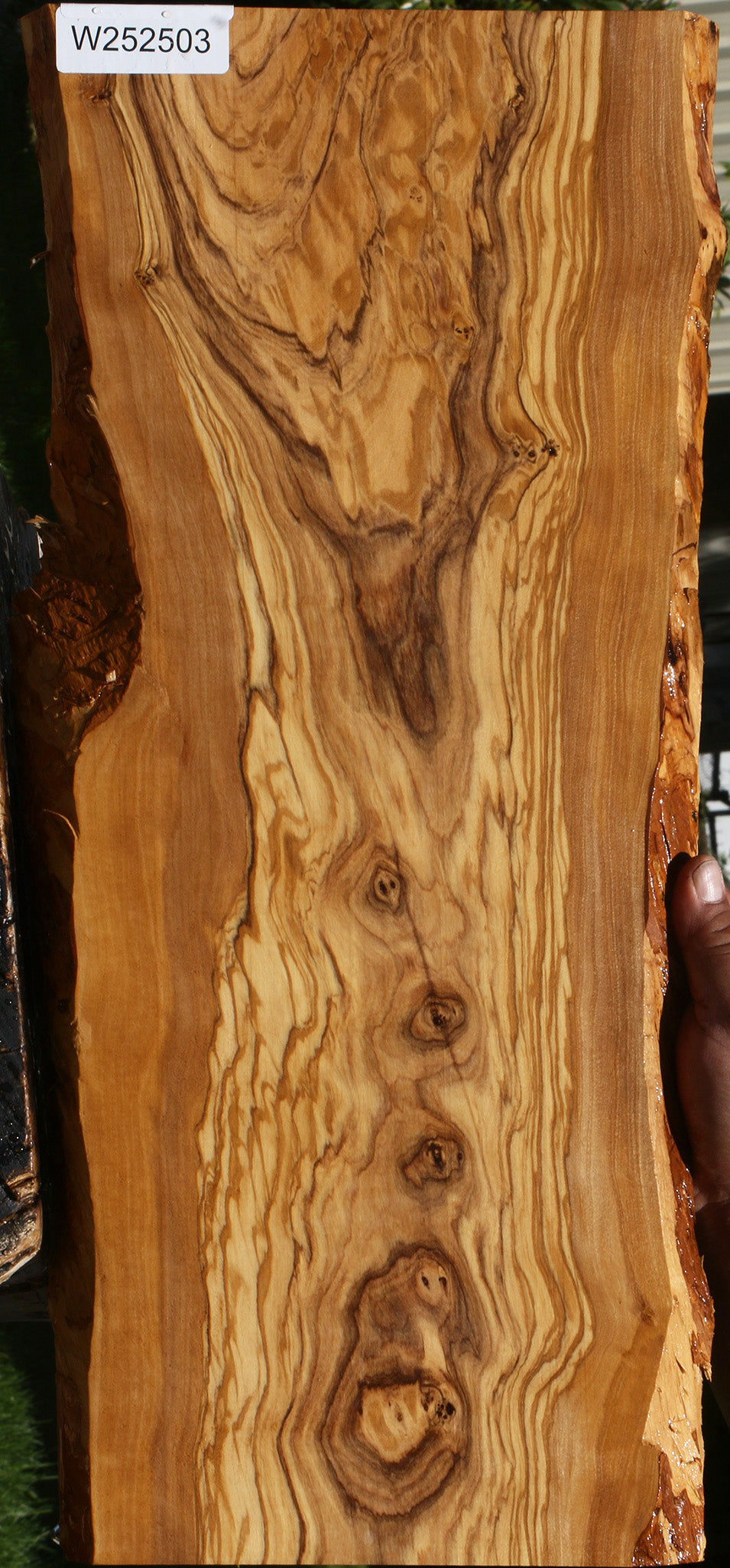 Extra Fancy Olive Live Edge Lumber