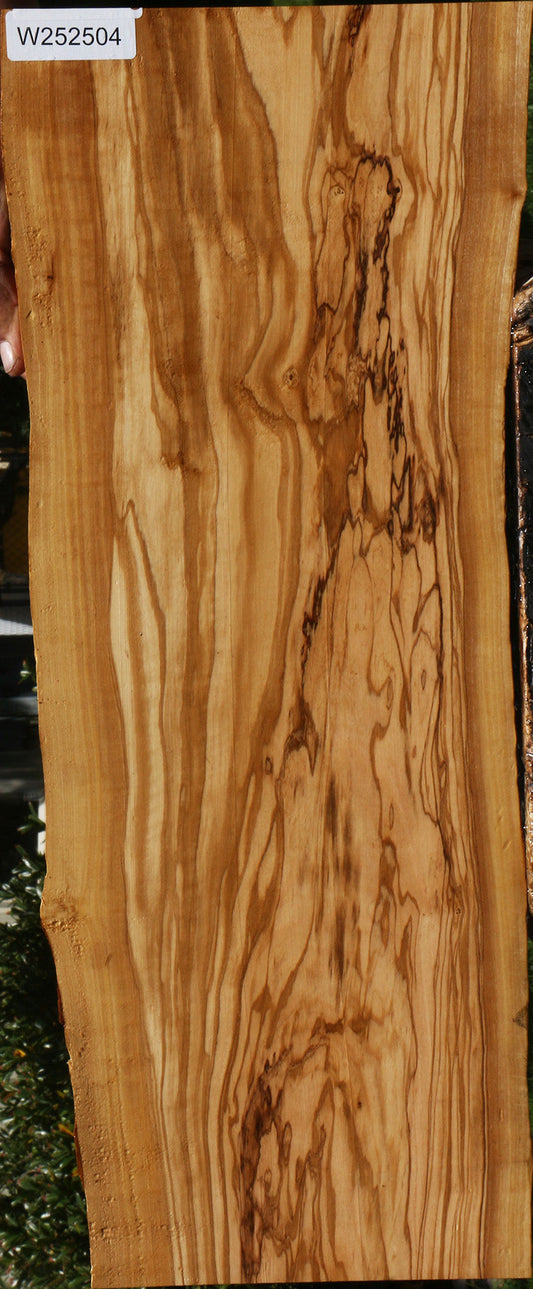 Extra Fancy Olive Live Edge Lumber