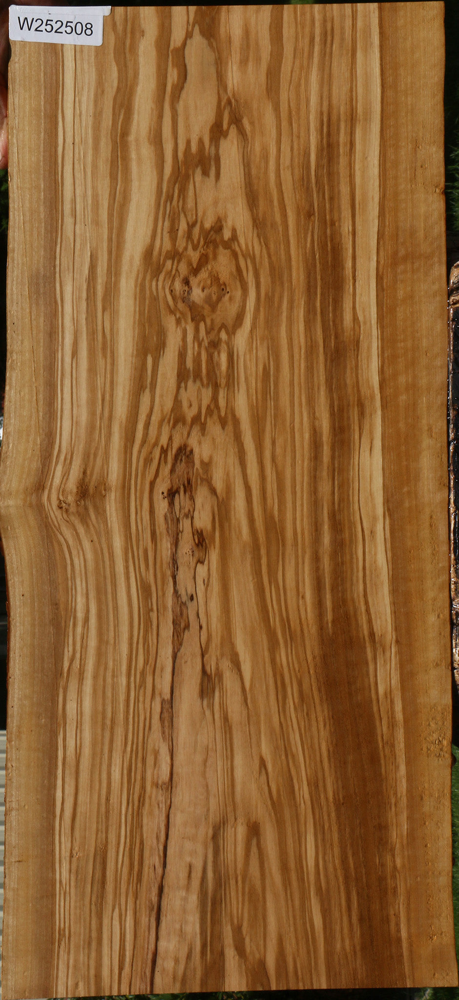 Figured Olive Live Edge Lumber