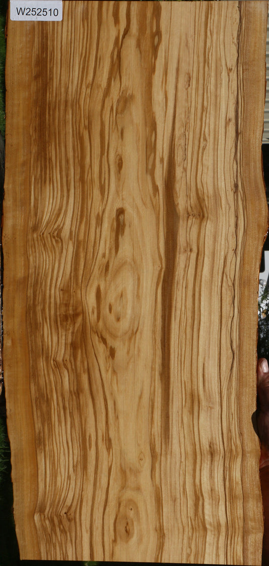 Extra Fancy Olive Live Edge Lumber