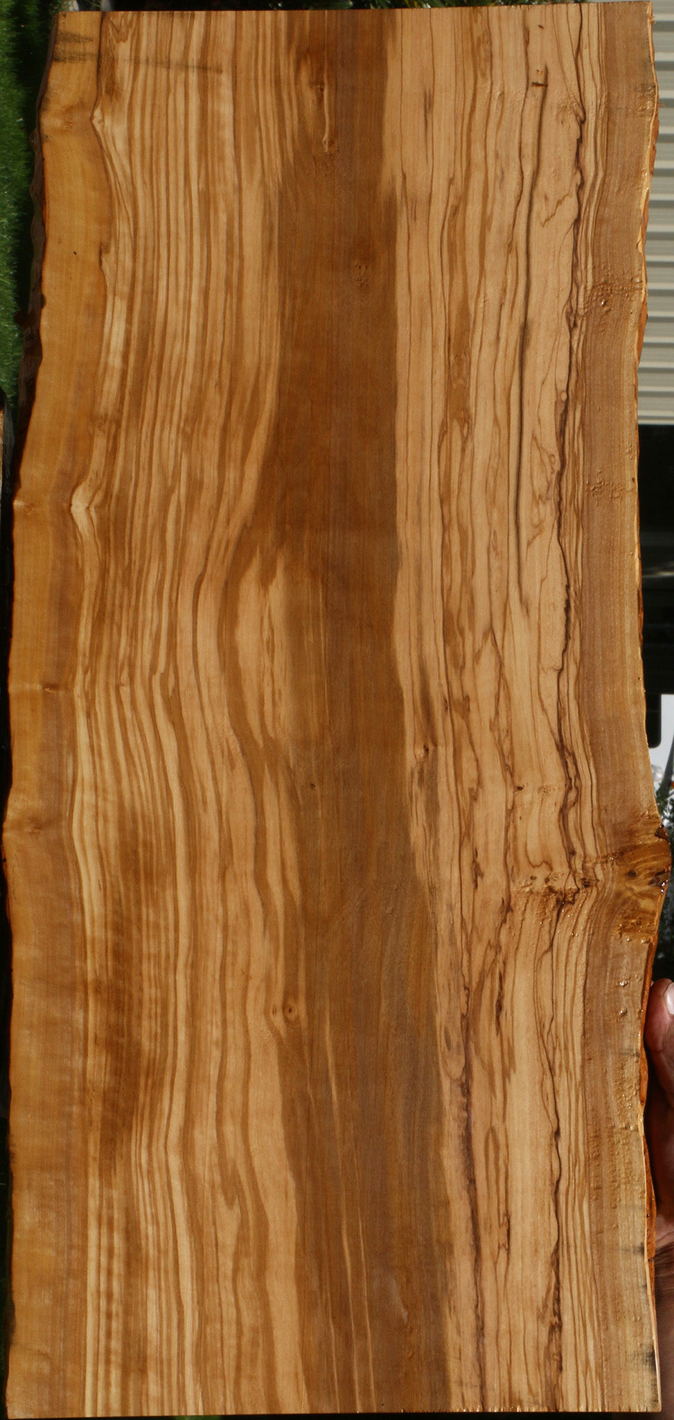 Extra Fancy Olive Live Edge Lumber