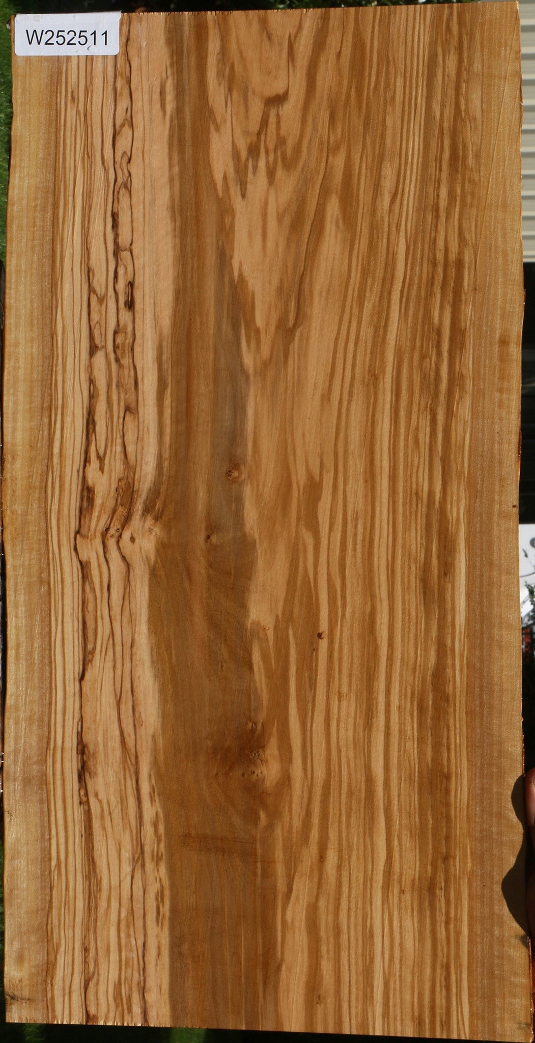 Figured Olive Live Edge Lumber
