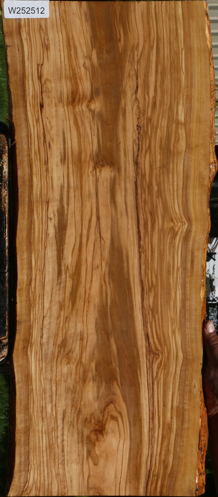 Olive Live Edge Lumber