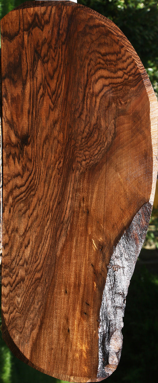 Exhibition English Walnut Live Edge Lumber