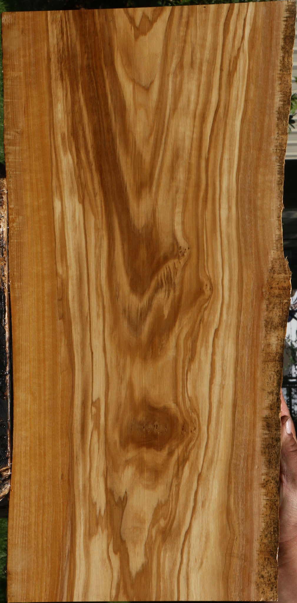 Olive Live Edge Lumber