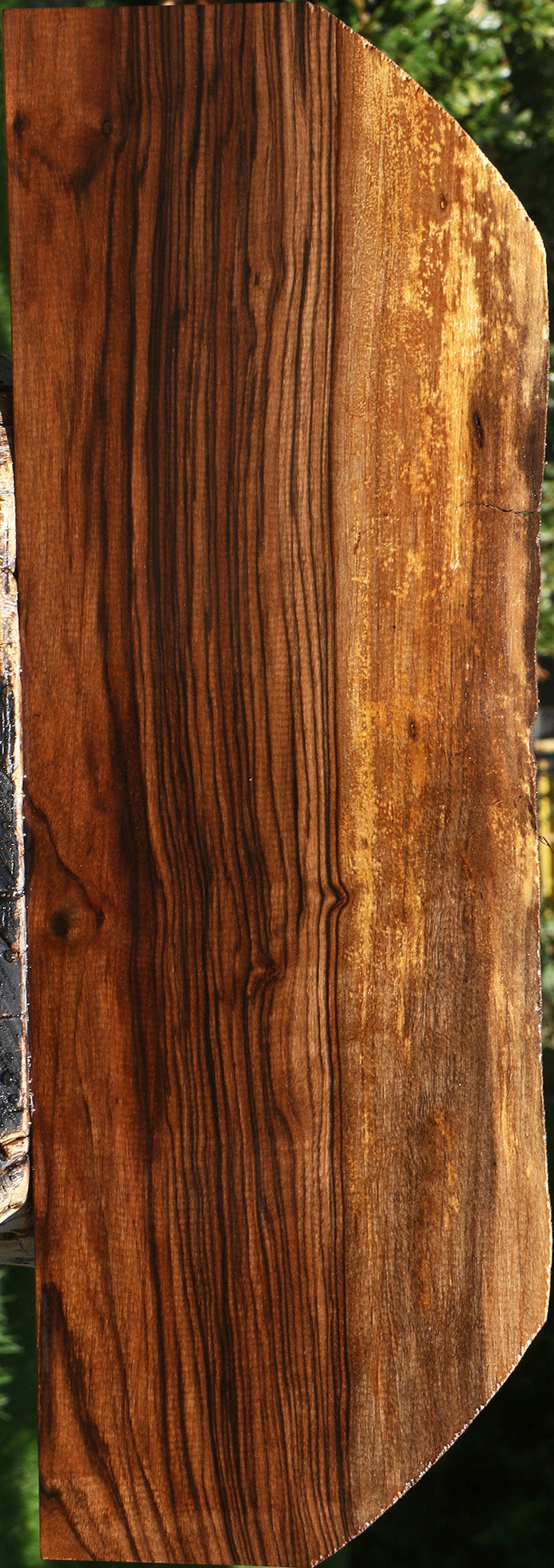 English Walnut Live Edge Lumber
