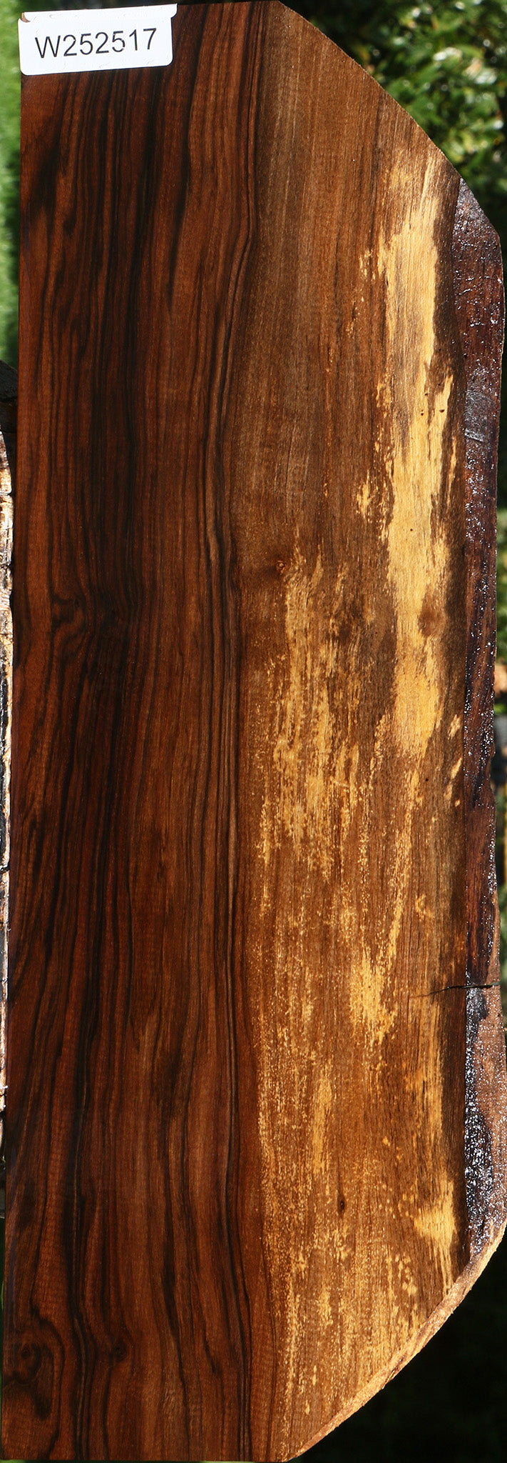 English Walnut Live Edge Lumber