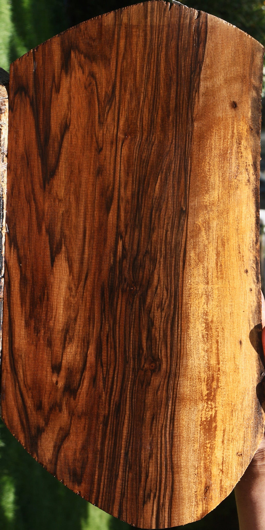 Exhibition English Walnut Live Edge Lumber