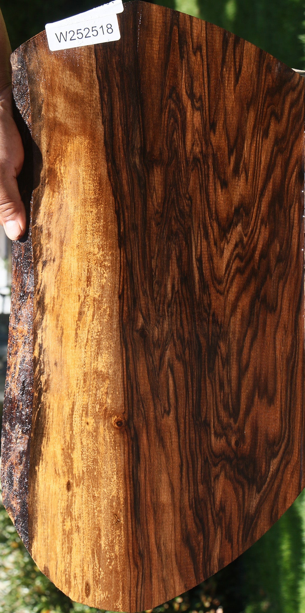 Exhibition English Walnut Live Edge Lumber