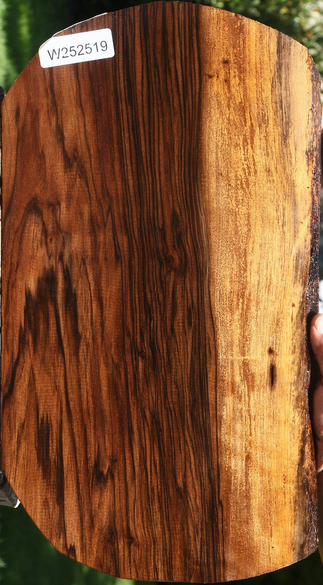 Extra Fancy English Walnut Live Edge Lumber