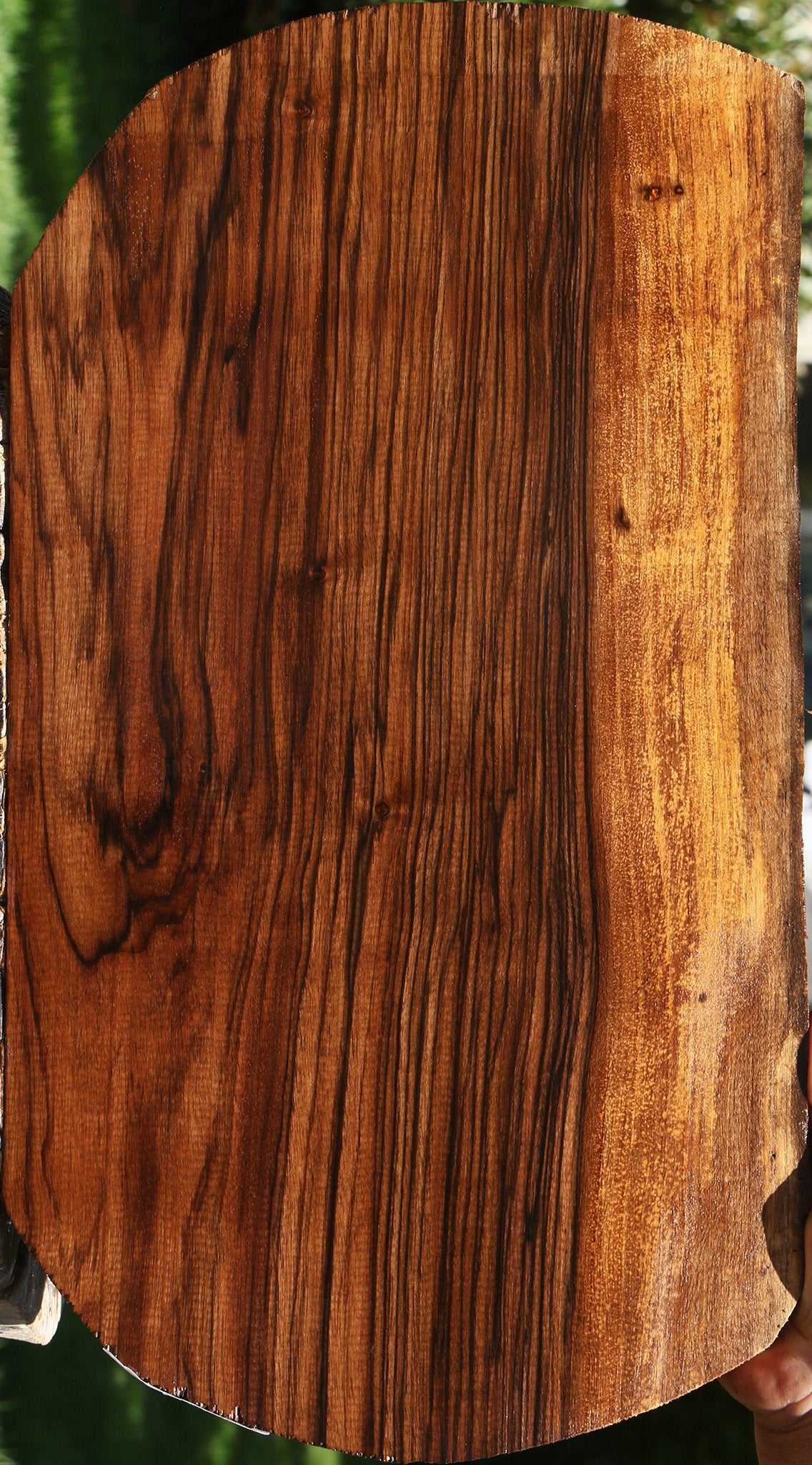 Extra Fancy English Walnut Live Edge Lumber