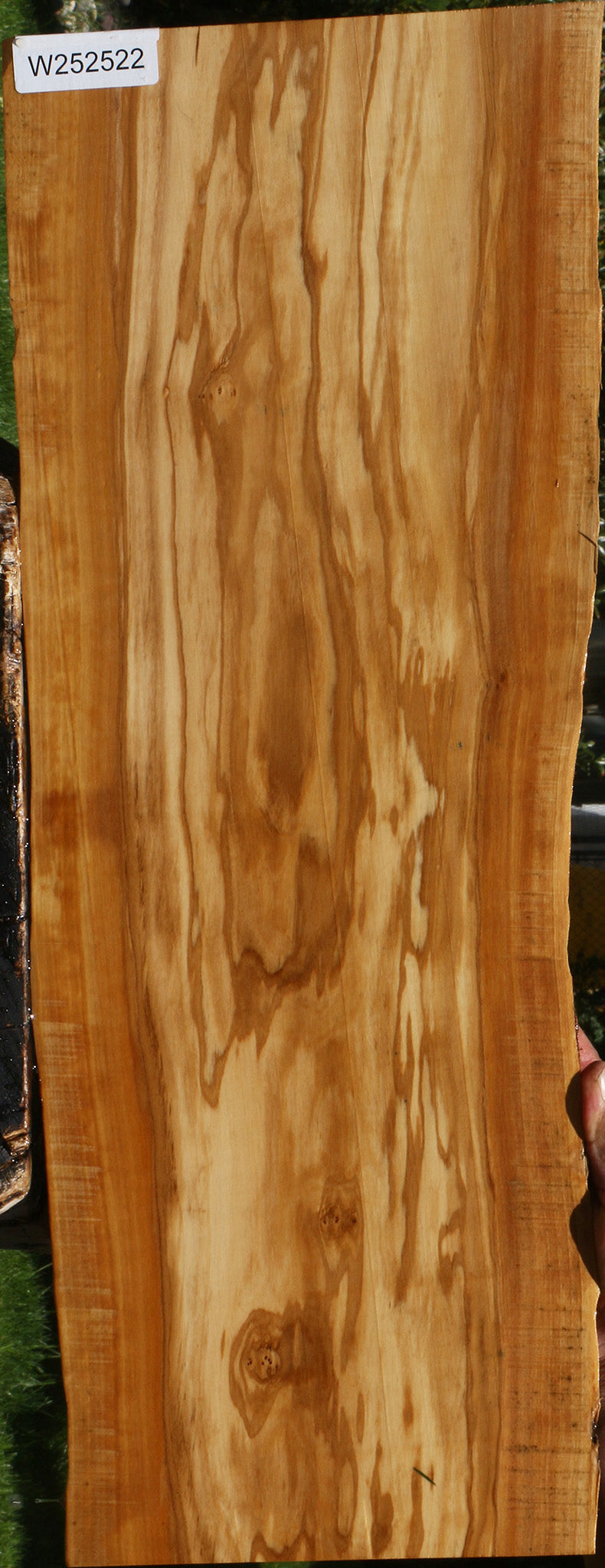 Olive Live Edge Lumber