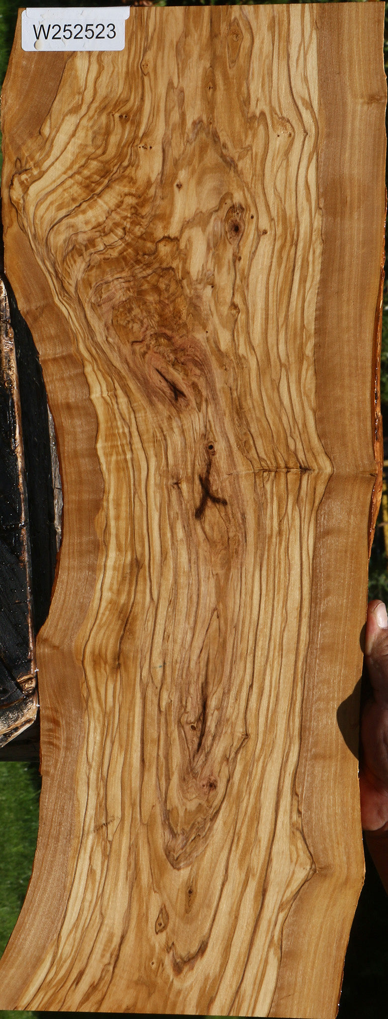 Exhibition Olive Live Edge Lumber