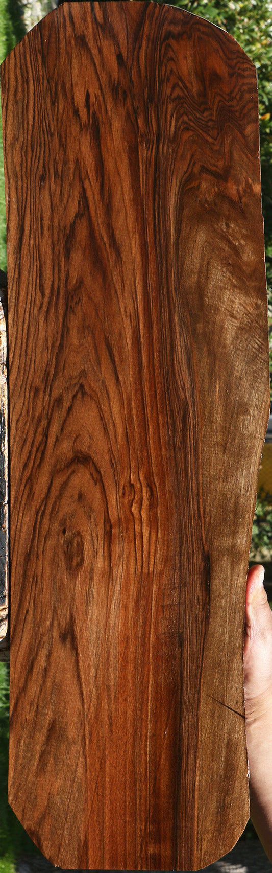 Exhibition English Walnut Live Edge Lumber