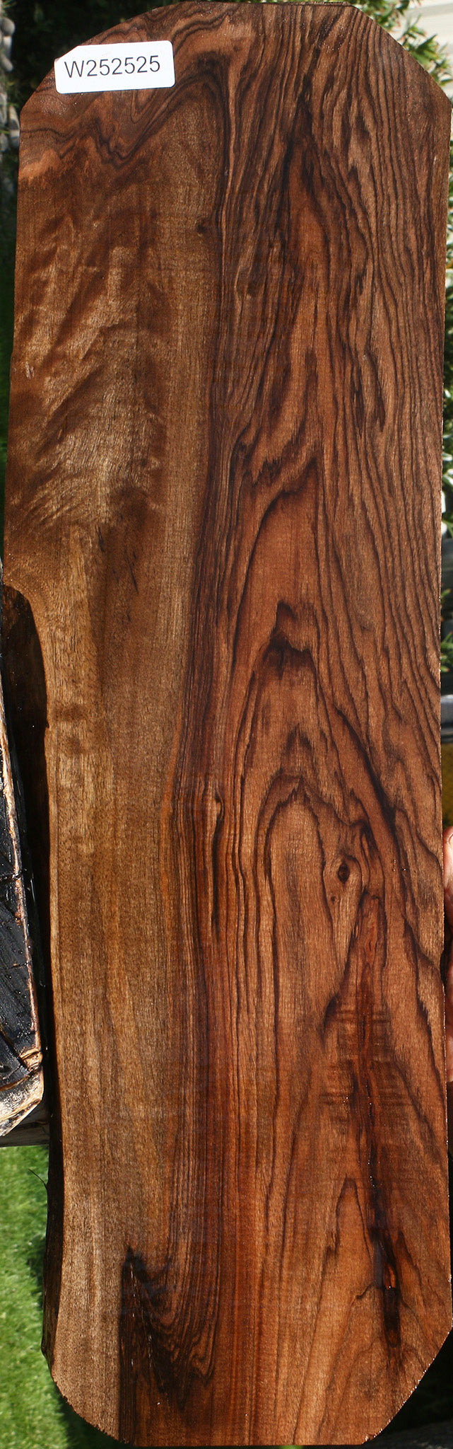 Exhibition English Walnut Live Edge Lumber