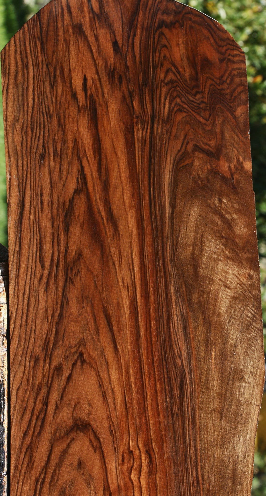 Exhibition English Walnut Live Edge Lumber