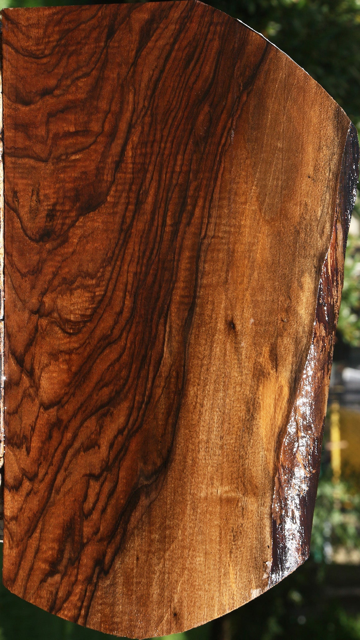 Exhibition English Walnut Live Edge Lumber