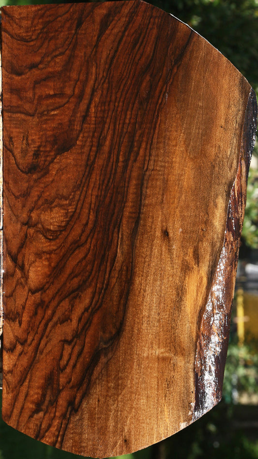 Exhibition English Walnut Live Edge Lumber