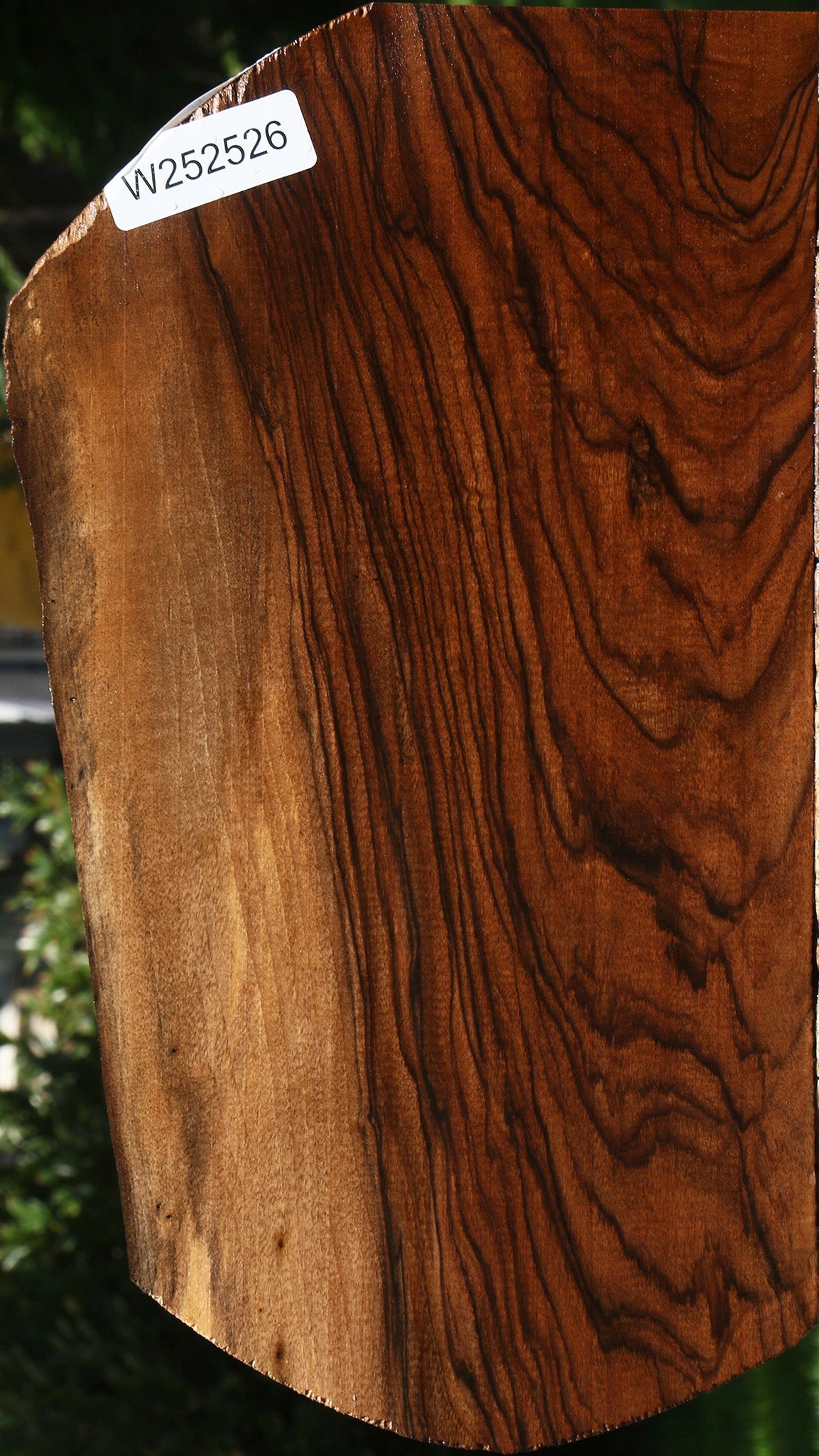 Exhibition English Walnut Live Edge Lumber