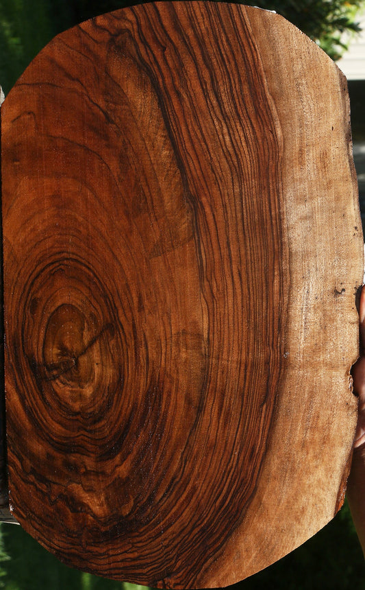 Exhibition English Walnut Live Edge Lumber