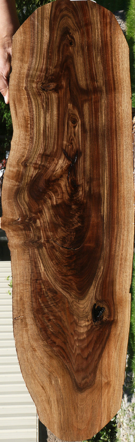 Crotchwood Claro Walnut Cookie