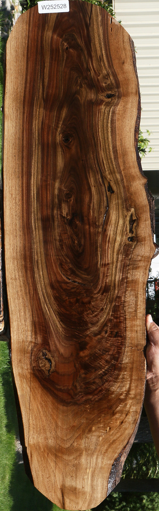 Crotchwood Claro Walnut Cookie