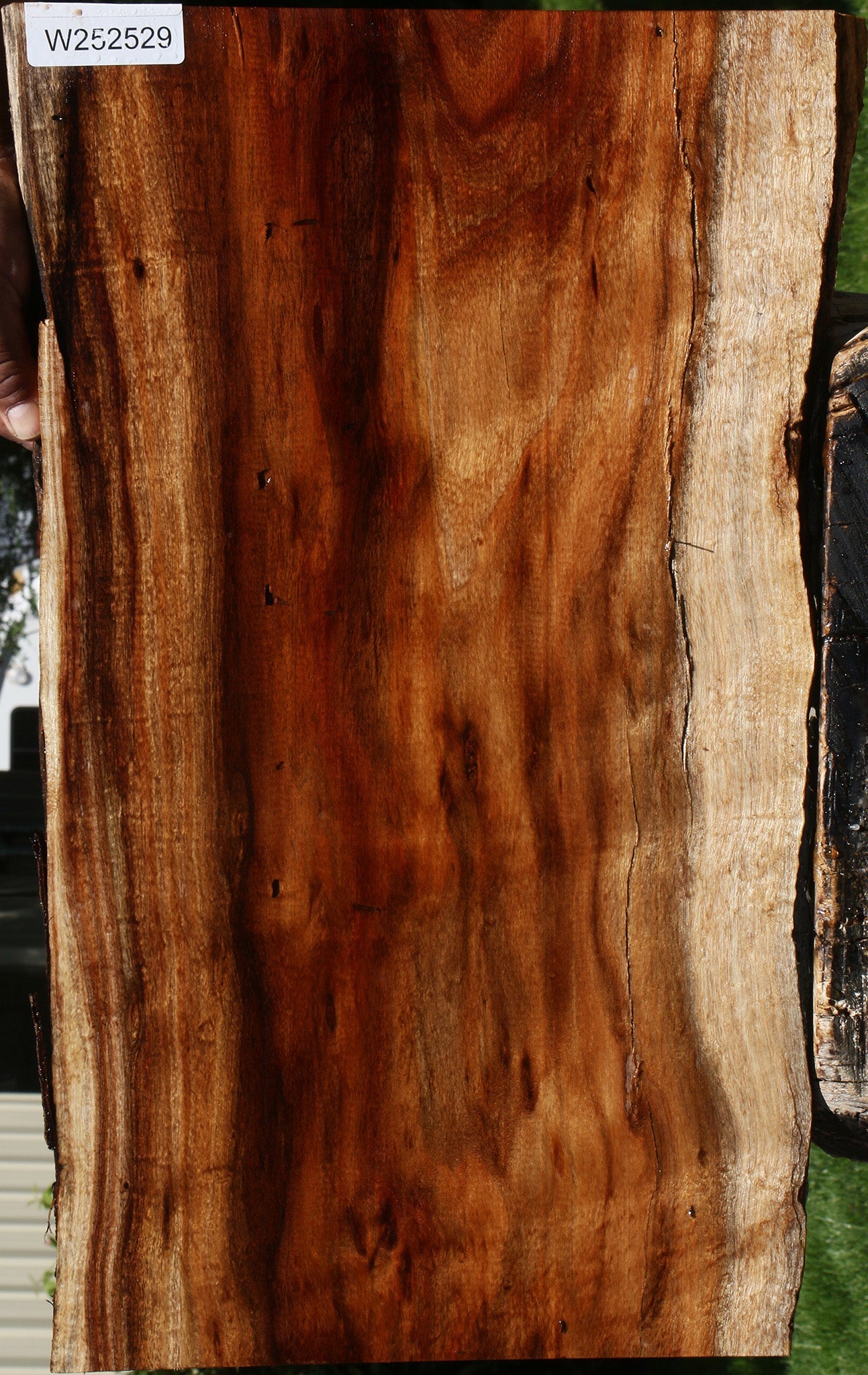 Extra Fancy Hawaiian Koa Live Edge Lumber
