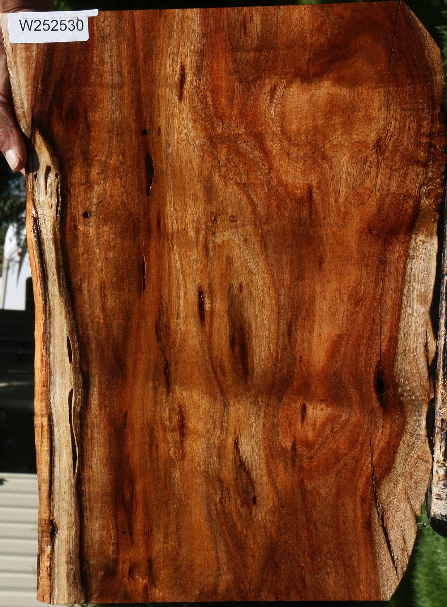 Extra Fancy Hawaiian Koa Live Edge Lumber