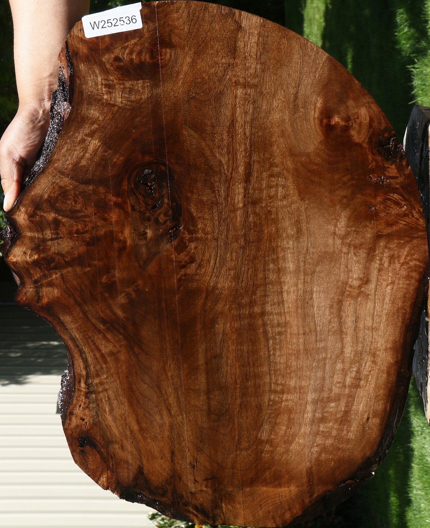 Extra Fancy Claro Walnut Live Edge Lumber