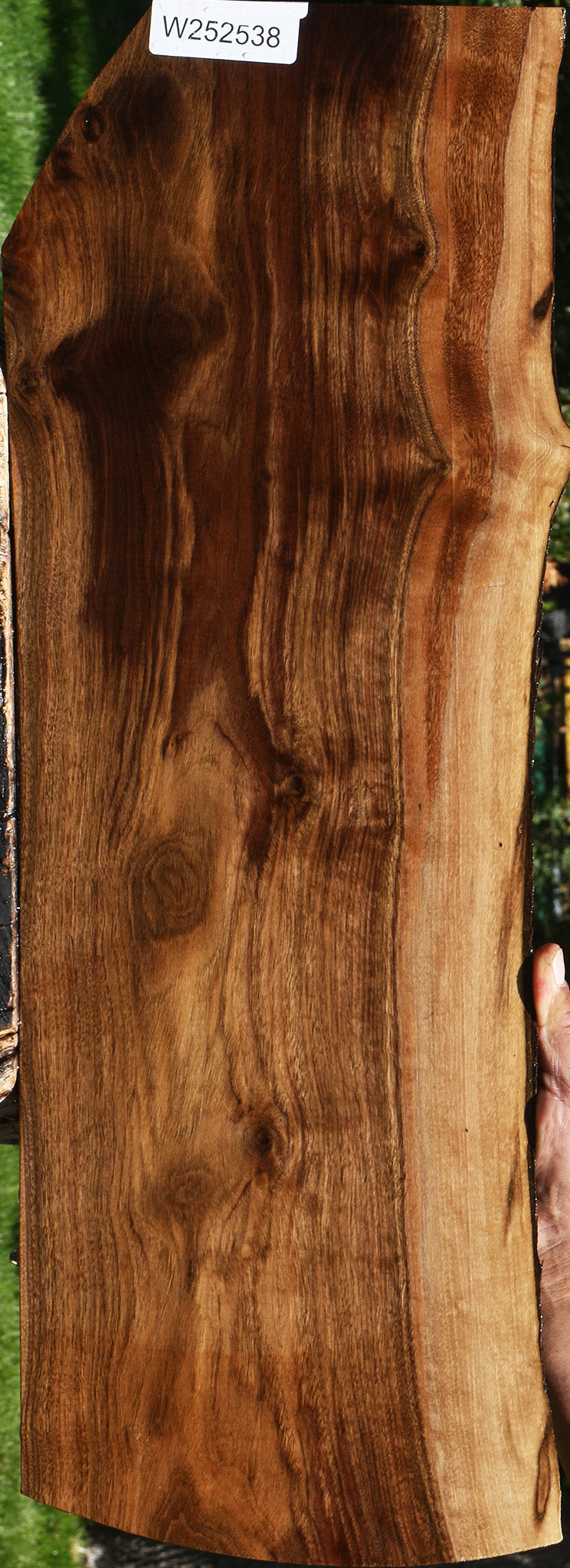 Claro Walnut Live Edge Lumber
