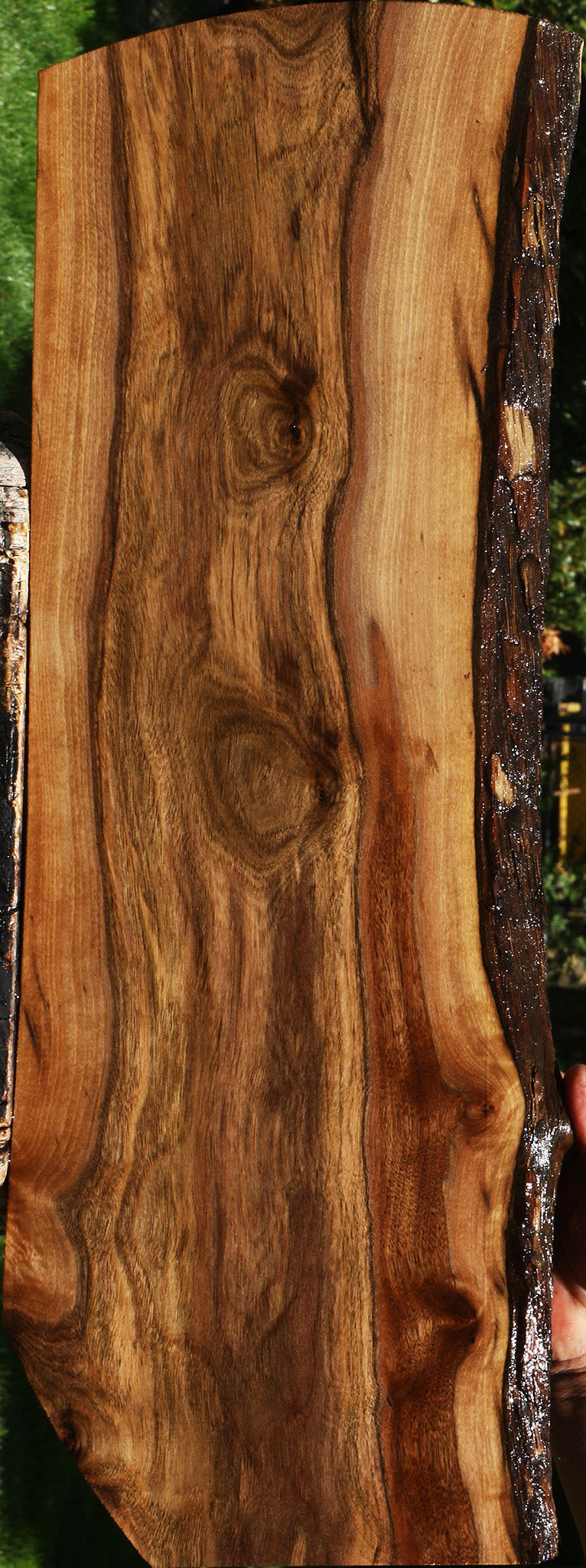 Claro Walnut Live Edge Lumber