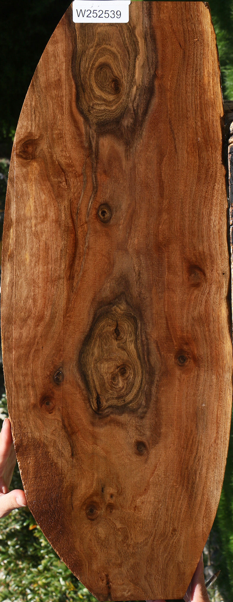 Claro Walnut Live Edge Lumber