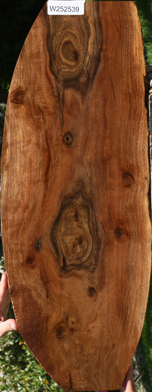Claro Walnut Live Edge Lumber