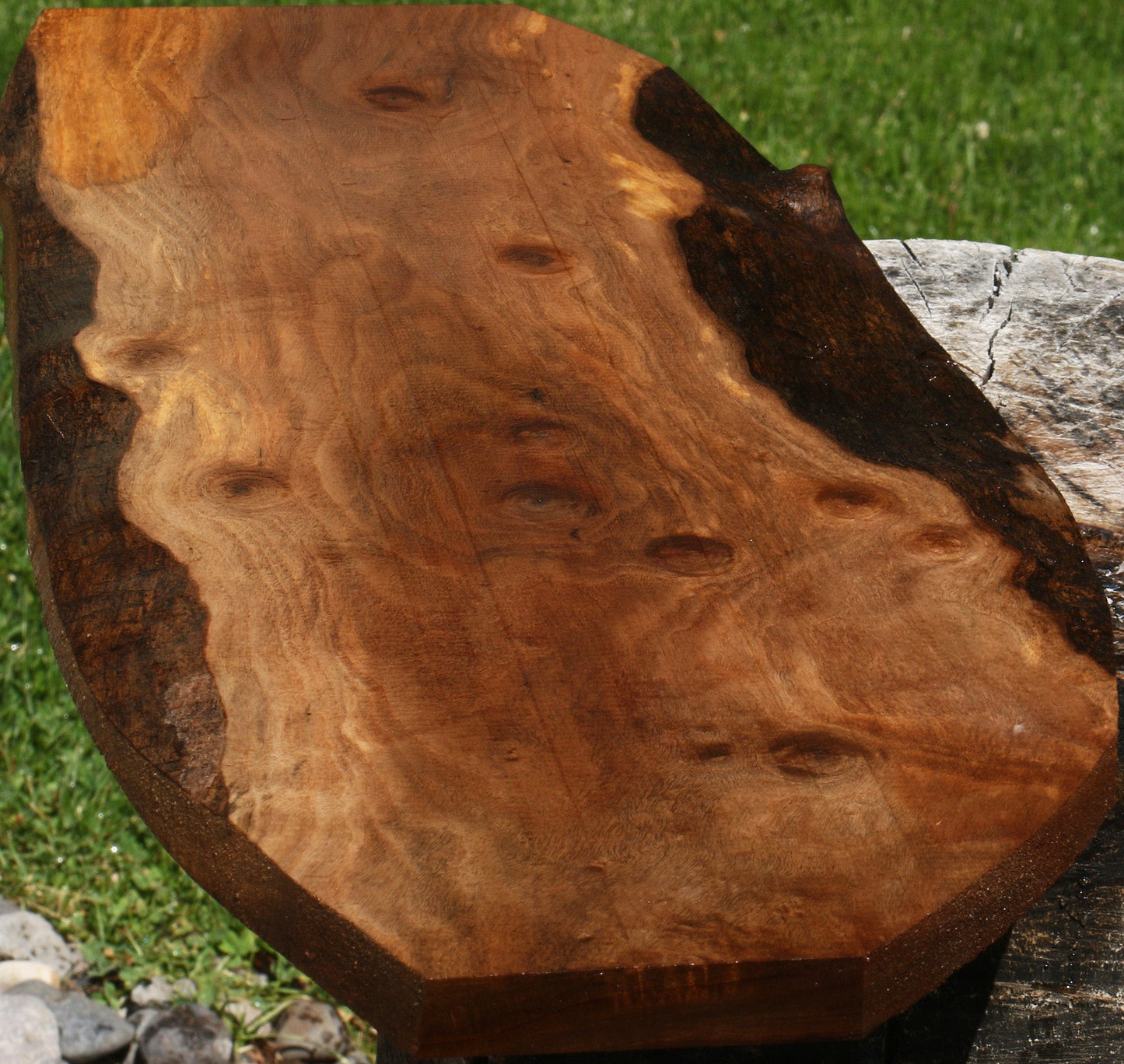 Claro Walnut Live Edge Lumber