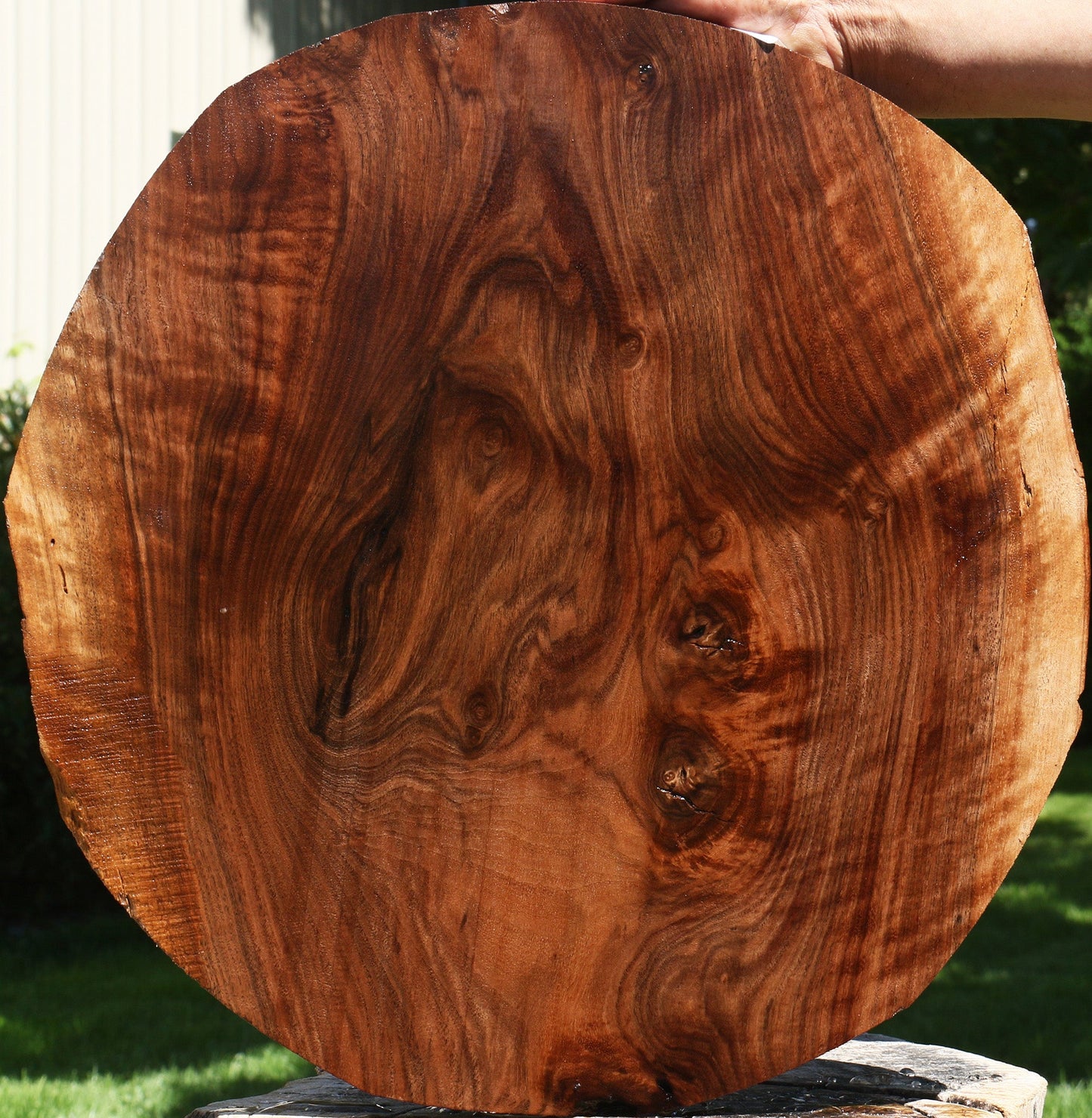 Extra Fancy Claro Walnut Live Edge Lumber