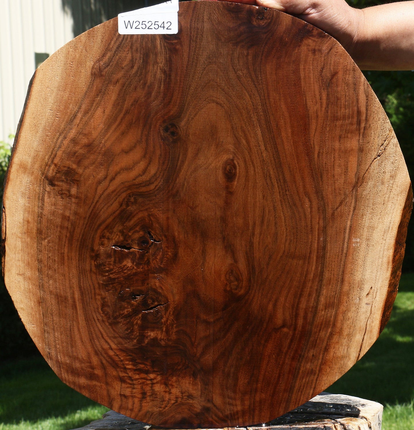 Extra Fancy Claro Walnut Live Edge Lumber