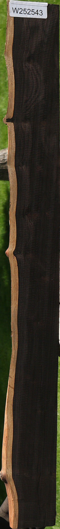 Figured African Blackwood Live Edge Micro Lumber