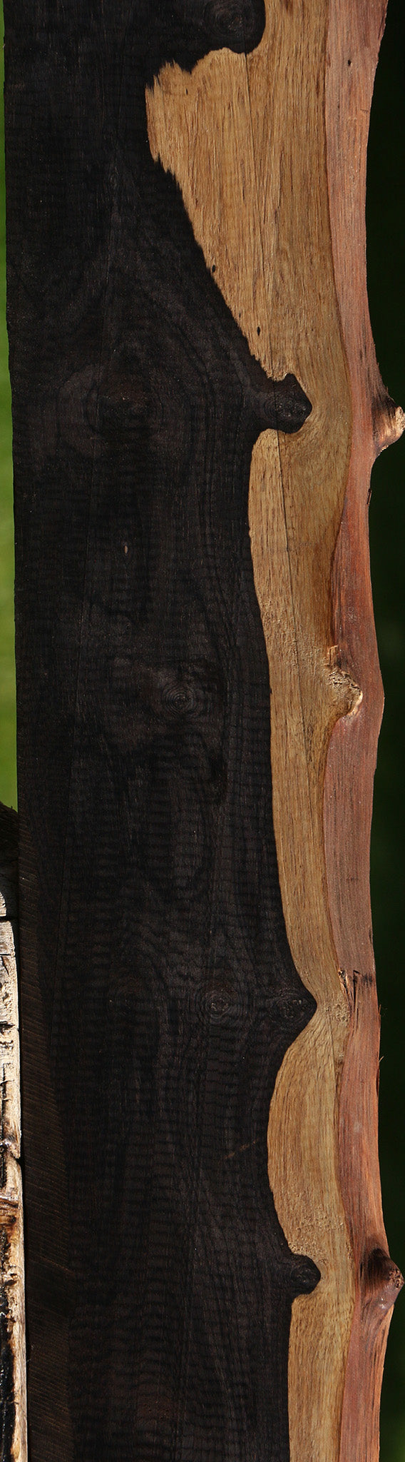 Figured African Blackwood Live Edge Micro Lumber