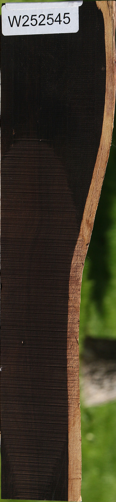 African Blackwood Live Edge Micro Lumber