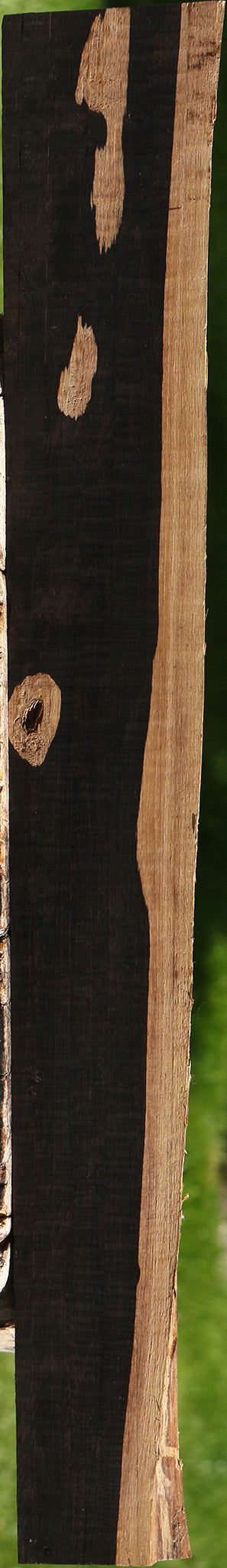 African Blackwood Live Edge Lumber