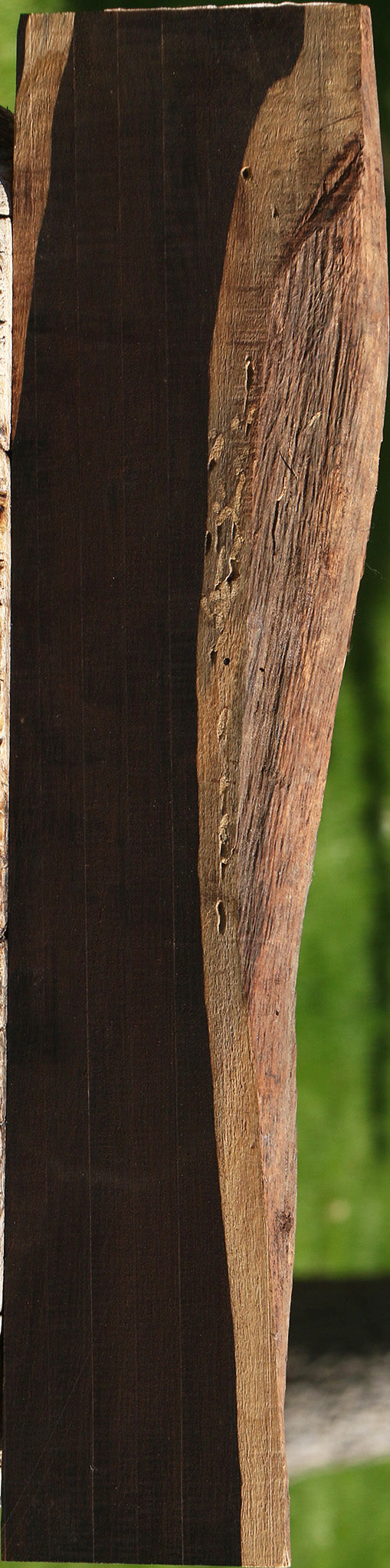 African Blackwood Live Edge Lumber